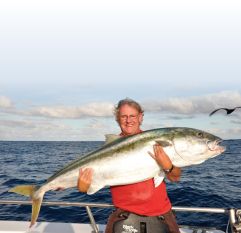 10kg of kingfish on a jig. Note the assist hook and where it attaches to the jig. 