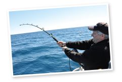 Electric reels are becoming more popular