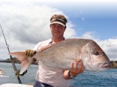 Bay of Islands snapper caught straylining a whole mackerel bait. Photo Josh Worthington