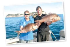 Straylining is the best way to catch snapper over rocky ground