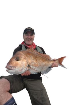 Big snapper will eat soft-plastics in very shallow water.