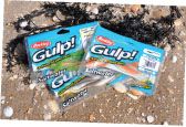 Gulp! soft baits are scented and biodegradable.
